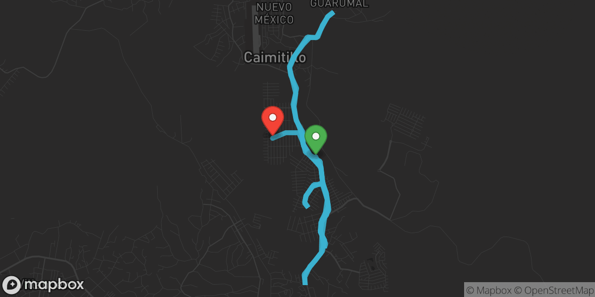 Ruta del 8/7/2026