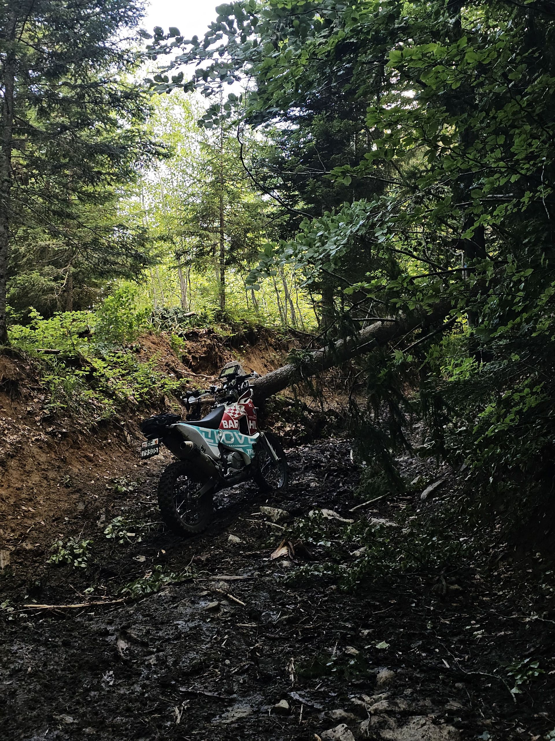 Unnamed ride 2
