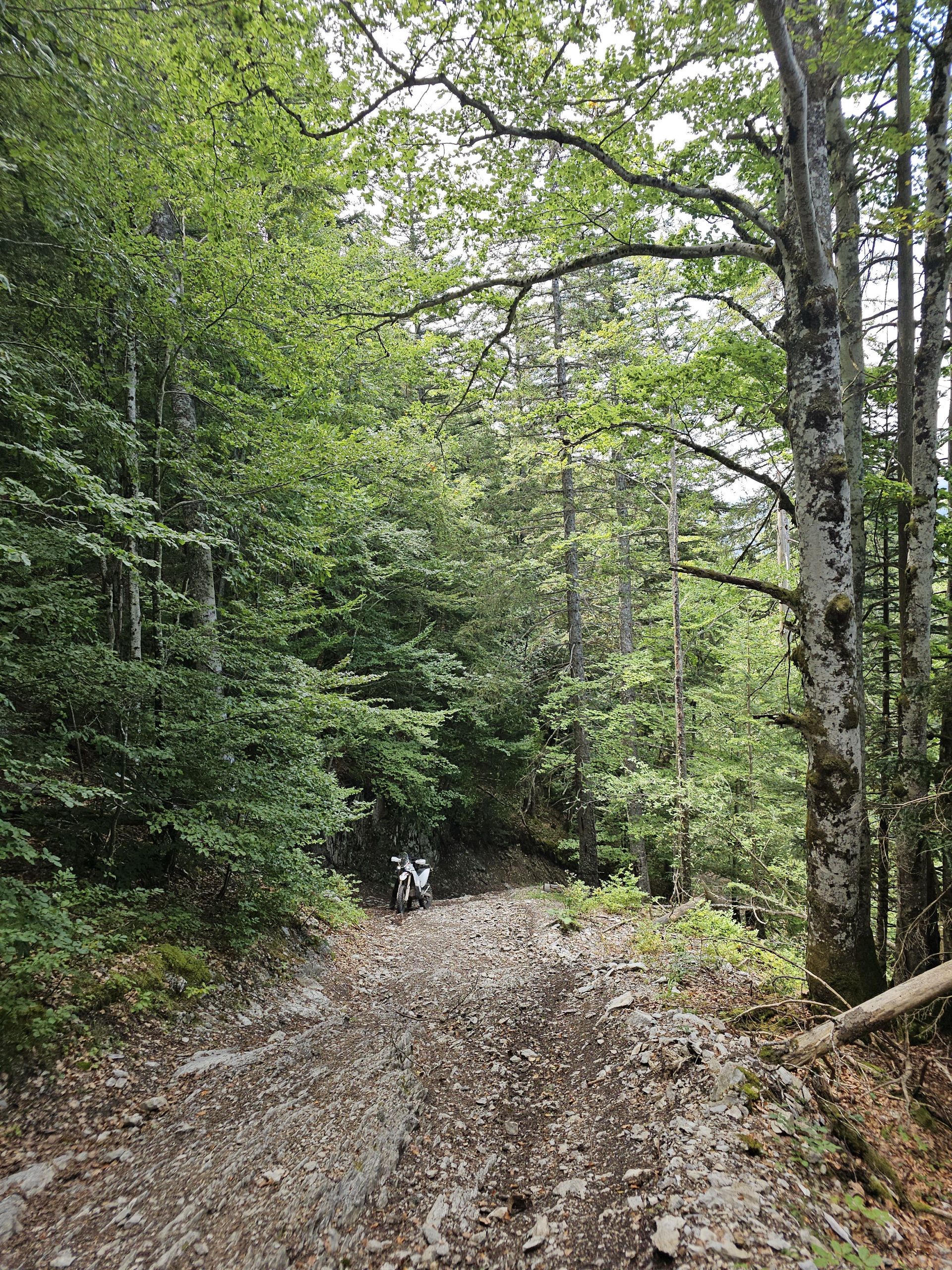 Unnamed ride 3