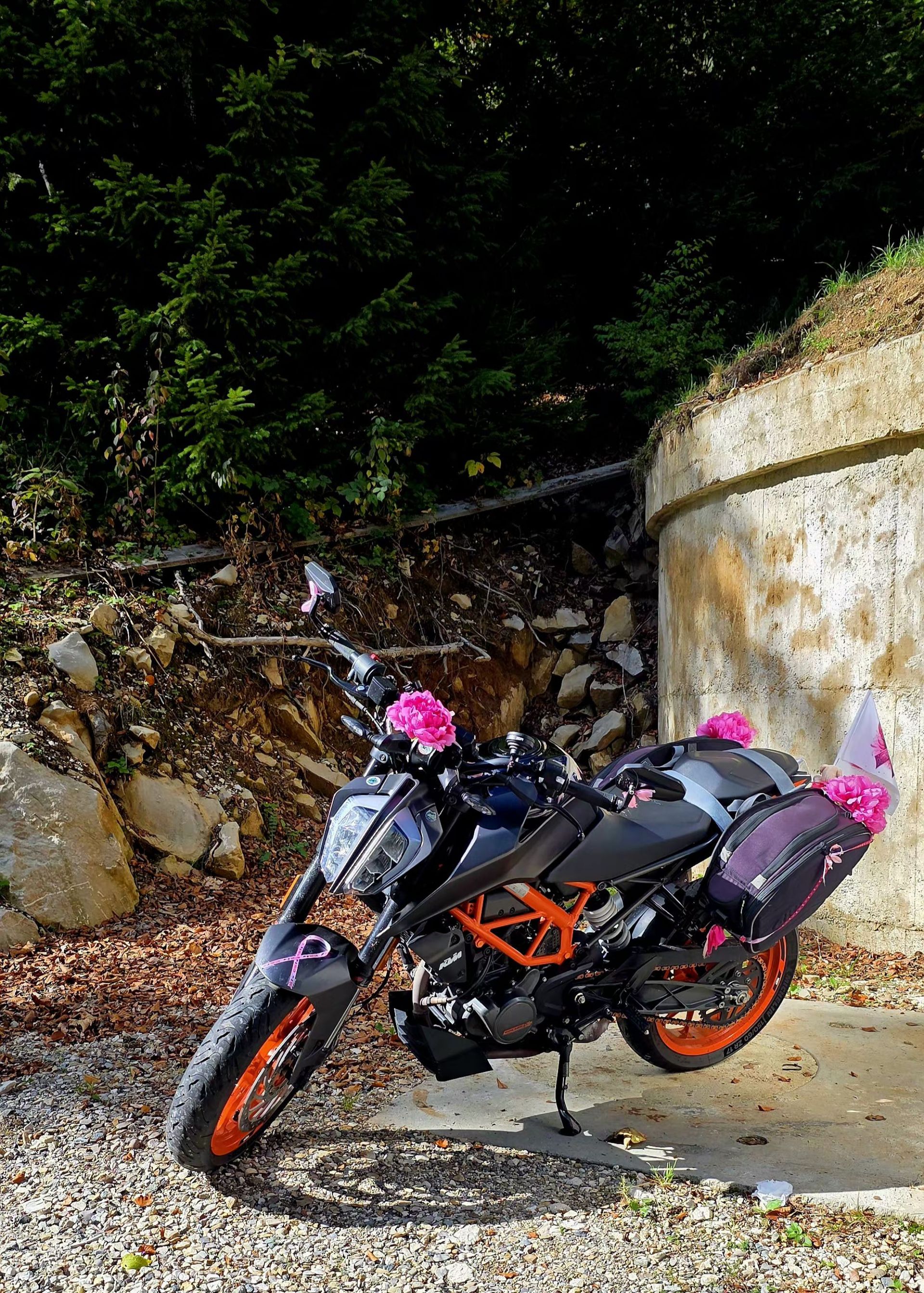 Unnamed ride 1