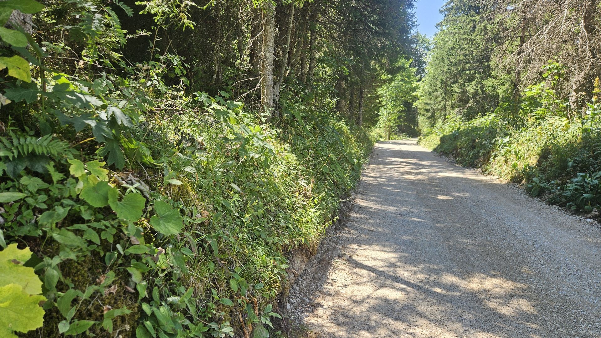 Unnamed ride 1